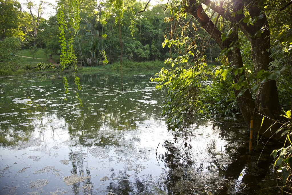 olhosdagua